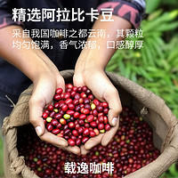 ease in joy 载逸 浓缩咖啡液 3杯 限量1100件