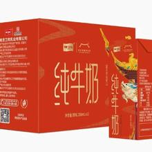 礼盒装卫岗 纯牛奶250ml*12盒