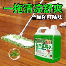 倩挥 拖地花露水专用驱大桶装家用擦地去异味地板清洁液剂高浓缩地面 5斤