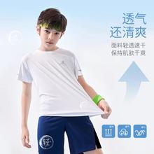 七彩摇篮 男童夏装儿童速干T恤