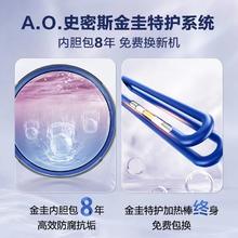 CHANITEX 佳尼特 A.O.SMITH 史密斯 AO史密斯佳尼特纤薄双胆 CTE 60HT1 60L