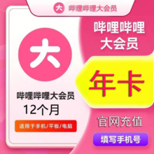 哔哩哔哩 大会员一年 bilibili B站一年大会员1年 12个月 一次到账1年（不支持电视）