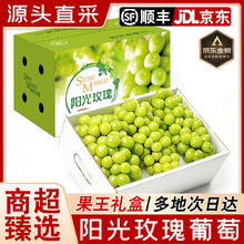 御京鲜 阳光玫瑰葡萄 5斤 一级果 单果8-10g