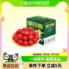 88VIP会员：GREER 绿行者 樱桃番茄生吃小西红柿2kg