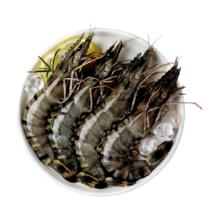 喵满分 特大号黑虎虾新鲜大虾1kg（20-30只）鲜活速冻海鲜水产
