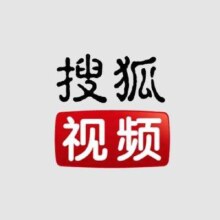 搜狐视频会员年卡 到账12个月