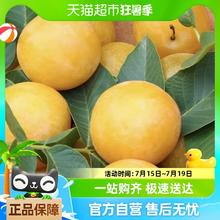 天猫超市 正宗纯甜冰糖李桃花李黄心3斤当季新鲜水果