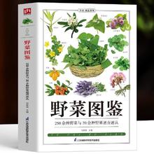 百亿补贴：《野菜图鉴：250种野菜与20余种野果速查速认》