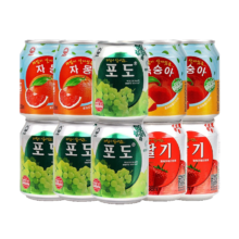 九日 果肉果汁组合 238ml*10瓶