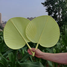 蒲扇子老式大蒲扇 大号