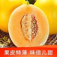 甘肃民勤现摘甜瓜蜜瓜3斤