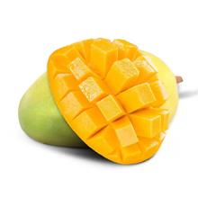 攀枝花凯特芒果5斤带箱