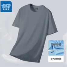 PLUS会员！JEANSWEST 真维斯 2024新款男短袖夏季t恤
