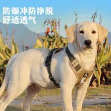 COCS 狗胸背带 中大型犬背心式牵引绳 XL-(胸围68-93cm 建议45-90斤）