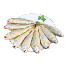 鲜京采冷冻舟山鲜捕小黄鱼1.5kg 30-36条/kg