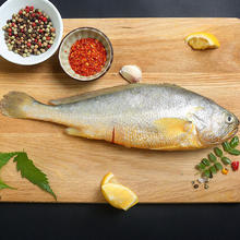 三都港 冷冻三去大黄鱼1kg/2条装 黄花鱼 深海鱼