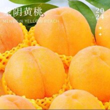 京东百亿补贴、plus会员:春福乐 正宗蒙阴黄桃【源头直发】  5斤 整箱大果 【单果120g+】