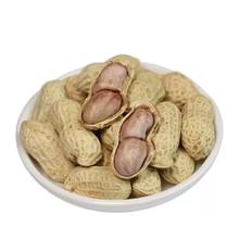 龙岩花生五香味500gx2袋
