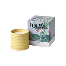 LOEWE 罗意威 金银花香薰蜡烛 170g