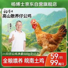 杨博士 小公鸡仔公鸡未打鸣皖南土鸡走地鸡竹林鸡1只净重500g及以上