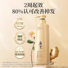 ADOLPH 阿道夫 生姜防脱发专研系列洗发水300ml