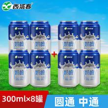 西域春 新疆西域春奶啤气泡饮料300ml*12罐装