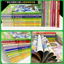 正版大中华寻宝记全套漫画书系列30册