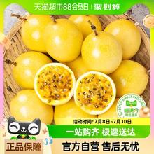 喵满分 胡鲜森 南钦蜜9号黄金百香果1斤