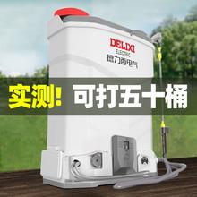 百亿补贴：DELIXI 德力西 电气换电池喷雾器锂电农用打药机高压农药喷洒花园家用喷壶