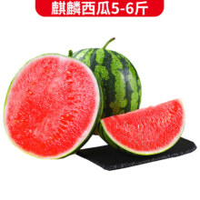 百亿补贴、plus会员：静益乐源 8424麒麟西瓜 夏邑新鲜西瓜水果 1个装5-6斤