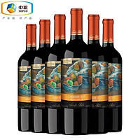 圣丽塔 国家画廊 佳美娜 干红葡萄酒 750ml*6瓶 整箱装