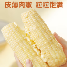 PLUS会员！NONGKEYU 农科玉 甜糯玉米260g*8根