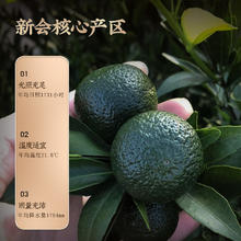 Tiger Mark 虎标茶 新会陈皮 瓶装50g