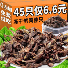 熊熊良铺 鹌鹑冻干猫狗零食增肥发腮成幼犬营养补钙磨牙棒猫狗通用零食生骨 冻干鹌鹑50g（实发约45只）