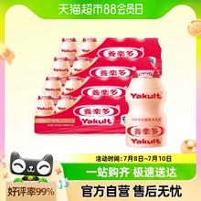Augerta 奥古特 青岛啤酒（TsingTao）经典奥古特 百年酵母330ml*24听 整箱装 露营出游