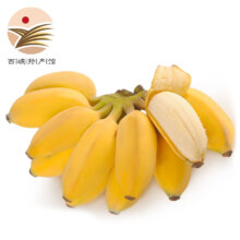静益乐源 新鲜广西小米蕉 5斤*2件