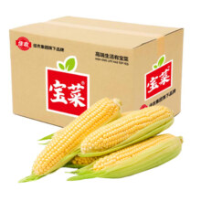 plus会员:佳农宝菜 新鲜水果玉米甜嫩多汁甜玉米5斤装 净重4.5斤+凑单品
