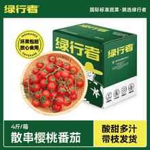 GREER 绿行者 散串樱桃番茄500g*4盒