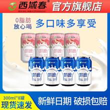 西域春 奶啤300ml*8罐组合0脂肪乳饮料