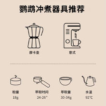 SeeSaw 意式咖啡豆 鹦鹉 500g 高甜低酸