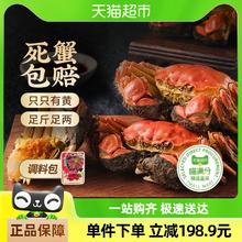 喵满分 六月黄大闸蟹10只装2.0-2.3两/只活蟹礼盒