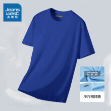 真维斯（Jeanswest）2024新款夏季T恤 *2件（凑短裤）