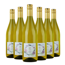 plus会员:天帕（TENTA）智利中央山谷原瓶进口 天帕霞多丽干白葡萄酒13度750ml 2支装