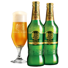 puls会员：奥古特（Augerta）青岛啤酒 12度 480mL*6瓶*2箱