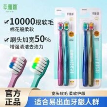草珊瑚 软毛宽头牙刷 10支