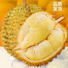绿鲜森 泰国金枕榴莲  巴掌榴莲 4-5斤(2个 3-4房)