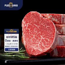 FRESH·FOUR SEASONS 淳鲜四季 X 京东 牛排原切和牛M5肉芯1.2kg 谷饲400天