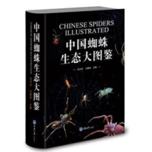 中国蜘蛛生态大图鉴 昆虫图鉴蜘蛛学蜘蛛生态识别 蜘蛛知识档案书动物百科