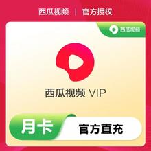 西瓜视频VIP月卡30天