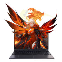 再降价、PLUS会员、京东百亿补贴：MECHREVO 机械革命 翼龙 15 Pro 暮石灰（R7-8845H、24GB、1TB、RTX4060、2.5K）：